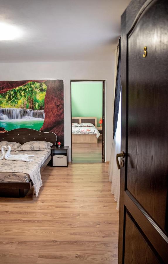 Hotel Casa Robi à Pestisani Extérieur photo
